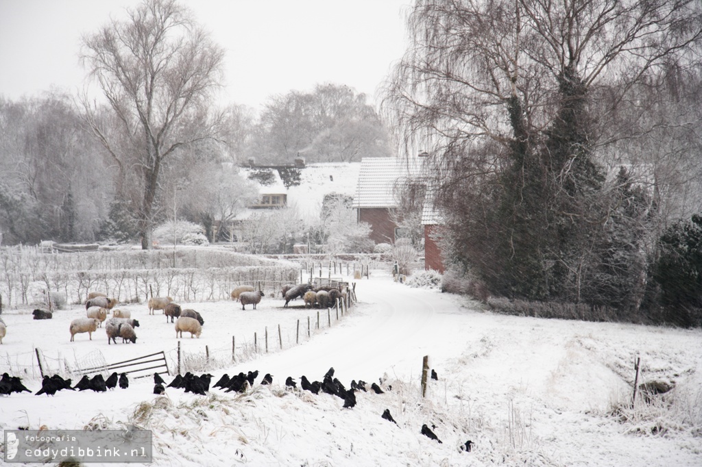 2010-12-17 Sneeuw, Deventer 020